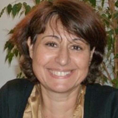 Hélène Ivanoff, Complex Systems