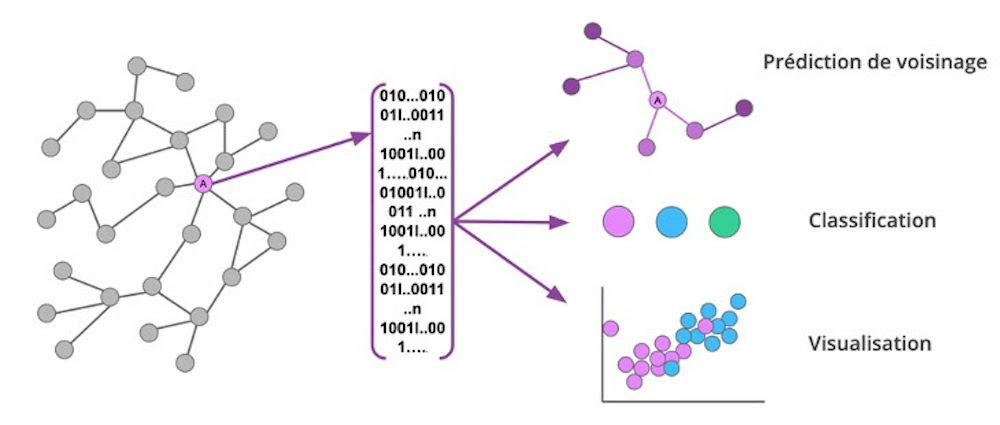 la vectorisation des graphes est un outil puissant pour abstraire les structures de graphes complexes et réduire leur dimension. Cette technique ouvre de nombreuses possibilités quant à l'utilisation de l'apprentissage automatique basé sur les graphes.