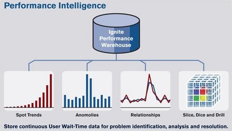 Performance Intelligence – Business Intelligence Performance Intelligence – Business Intelligence