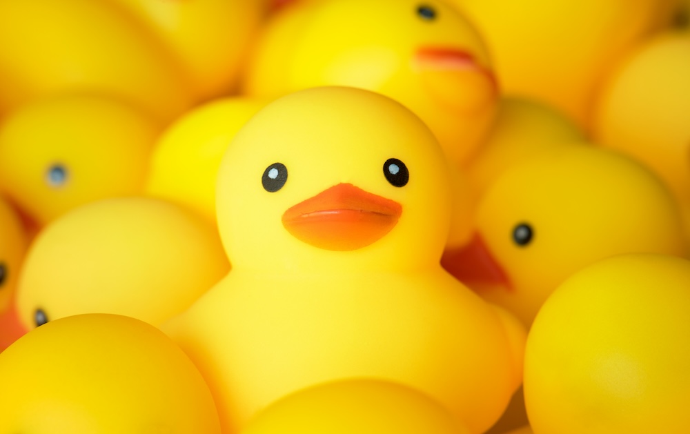 AWS rachète DuckLabs, la société néerlandaise à l’origine de DuckDB