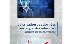 Guide Cigref 2016 - Valorisation des données : maturité, pratiques et modèle ?