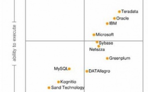 Carré magique du Gartner 2008, les gagnants et les perdants