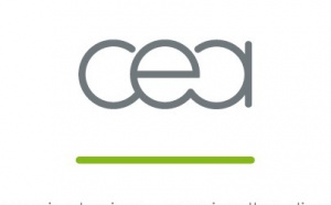 Appel à communication du CEA : 2ème édition de la journée Visualisation scientifique et d'information