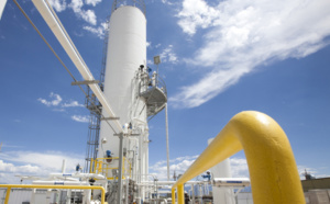 Rivoira choisit LLamasoft pour son système d’aide à la décision intelligente