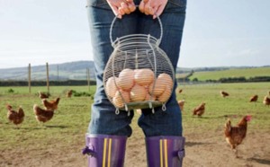 Anaplan signe en France sa première référence chez Glon Sanders... ou pas !