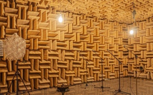 Combiner intelligence et matériaux artificiels pour voir l'invisible