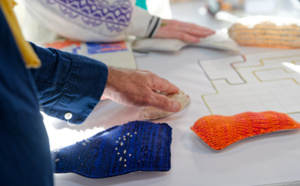 Digora invite la HEAR à s’emparer de la donnée des abeilles